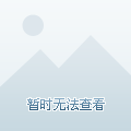 成SEO双