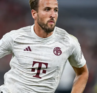 哈兰德在场 哈兰德在场