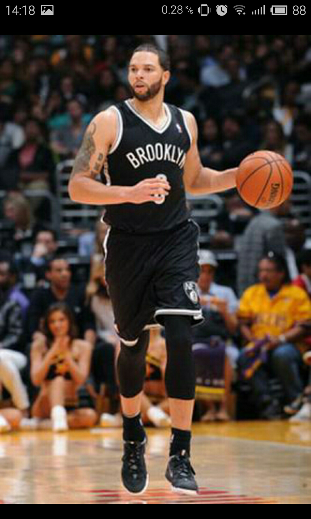 天然保护伞 天然保护伞